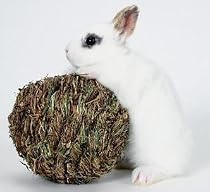 Peter's Woven Grass Play Ball