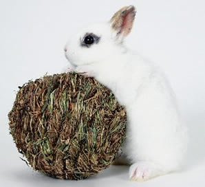 Peter's Woven Grass Play Ball