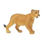 Lioness by Safari