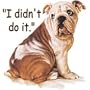 Didn't Do It Bulldog Adult T-Shirt