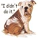 Didnt Do It Bulldog Youth T-Shirt