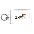 Keychain with reptile, dewlap, spots, lizard, collared, brown