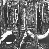 Bosse - Bosse - Zortam Music