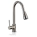 FREUER Drammatico Collection: Pull Out Spray Kitchen Sink Faucet, Brushed Nickel