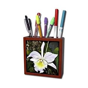 WhiteOak Photography Floral Prints - Flower that looks like an Iris - Tile Pen Holders-5 inch tile pen holder