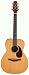 Musical Instruments : Takamine TAN77 OM Solid Cedar Top Acoustic-Electric Guitar