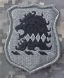 New Jersey National Guard ACU Patch - Foliage Green