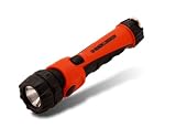Black & Decker BD2AAS-B Swivel Flashlight with Batteries