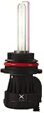 Xenonworx 9007-8KHL Blue/White 8000 K HID Conversion Bulb Kit