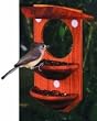 Window Seed Feeder