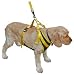 Canine Auto Safety Harness ? Large