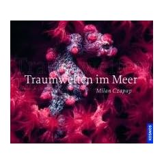 Traumwelten im Meer