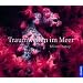 Traumwelten im Meer