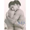 Plaisirs gay