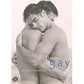 Plaisirs gay