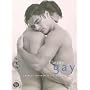 Plaisirs gay