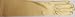 4fmg1.044, Fifteen Inch Shiny Neon Gold Color Spandex Gloves for Wedding Prom Party Communion