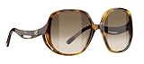 Sunglasses Balenciaga 0102/S 005L Havana / Havana