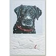 Snow Black Lab Labrador Boxed Christmas Cards - 16 Cards & 17 Envelopes