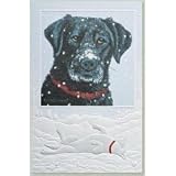 Snow Black Lab Labrador Boxed Christmas Cards - 16 Cards & 17 Envelopes