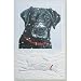 Snow Black Lab Labrador Boxed Christmas Cards - 16 Cards & 17 Envelopes