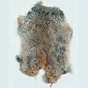 Natural Rabbit Hides XXLarge