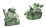 Zoobox ZF-0205F Water Gardening Pair of Peeper Frogs Verdi