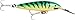 Rapala Countdown Magnum 11 Fishing lure, 4.375-Inch, Firetiger