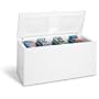 Frigidaire Gallery : GLFC2528FW Freezer