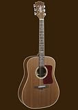 Sierra SD65 Acoustic Guitar Set-Sequoia series