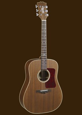 Sierra SD65 Acoustic Guitar Set-Sequoia series