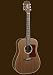 Sierra SD65 Acoustic Guitar Set-Sequoia series