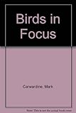 Birds in focus