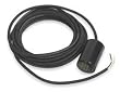 Dayton 3BY79 Float switch Pilot Duty