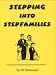 Book Stepping Into Stepfamilies