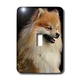 Dogs Pomeranian - Pomeranian portrait - Light Switch Covers - single toggle switch