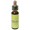 バッチフラワーレメディ レスキュー10ml