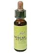 �o�b�`�t�����[�����f�B ���X�L���[10ml