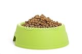 Wallmonkeys Peel and Stick Wall Decals - Green Bowl Filled with Animal Food - 18W x 12H Removable Graphic