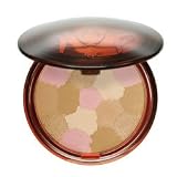 Guerlain Terracotta Light Sheer Bronzing Powder