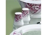 Review Mikasa/Lifetime Brands  / Mikasa Peony Pink Peony Salt and Pepper Set 2-pc.