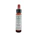 Original Bach Flower Remedy 10ml - CLEMATIS