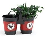 Country Rooster Double Planter With Handle For Kitchen And Home Decor