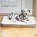 Kitchen & Housewares : PetSafe Heated Wellness Bed - Medium
