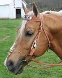 Cowhair Inlaid Browband Headstall with Spots