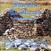 Search : Farewell to Ireland: Irish Instrumentals