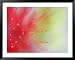 Abstract Detail of Baja Fairy Duster Shrub, Baja California, Mexico Botanical Framed Photographic Poster Print by Dennis Flaherty, 49x39
