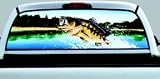 Exterior Mounted See-Thru Window Graphics - Bass 64 x 19