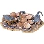 Dinosaur Nest Excavation Kit