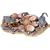 Dinosaur Nest Excavation Kit